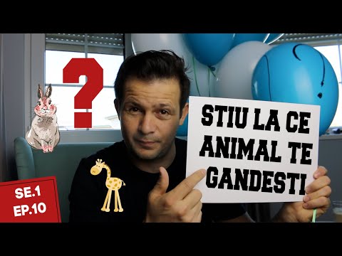 Video: Ce Abilități Magice Au Animalele?
