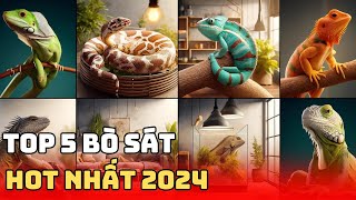 Những Giống Bò Sát Cảnh Khuấy Đảo Thị Trường Thú Cưng 2024 | Bác Sĩ Trung