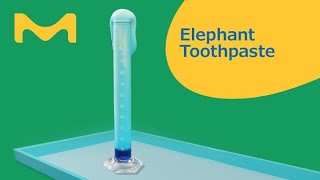 Elephant Toothpaste at Home STEM Experiment