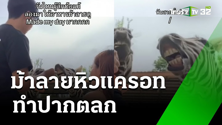 ม้าลายหิวแครอท! ทำปากตลก | 29 ก.ค. 67 | ข่าวเที่ยงไทยรัฐ