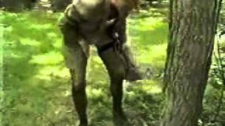 Ooops – Biene fliegt unter den Rock einer Reporterin