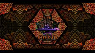 Pulsar Live Set Psyland