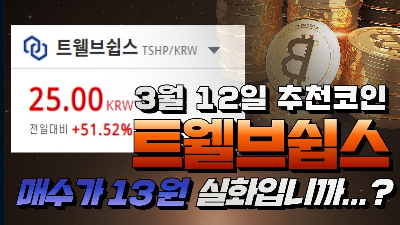 3월12일 추천종목 트웰브쉽스 매수가 13원 / 트웰브쉽스호재 - YouTube