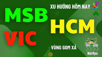 Nhận định xu hướng hôm nay cổ phiếu MSB HCM VIC hỗ trợ kháng cự điểm mua bán t+ ngắn trung dài hạn
