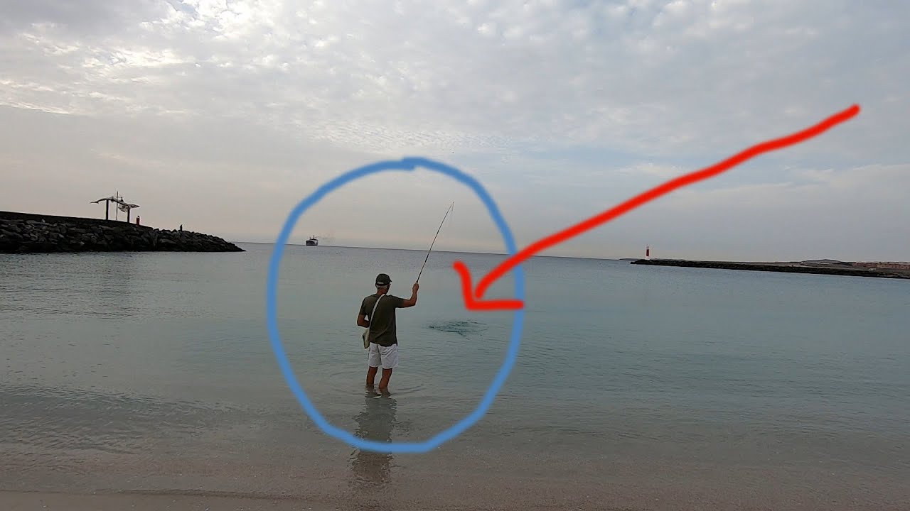 UNA TECNICA MICIDIALE! Come Pescare dalla Spiaggia con la Pesca a Frusta (La 