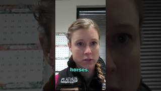 When To Breed Your Mare 🐴