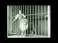 Charlie Chaplin - The Lion's Cage.mp4