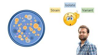 What is Strain, Isolate and Variant? Difference between.