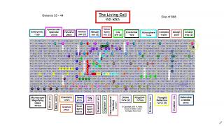 The Living Cell - Hebrew Torah Bible Code