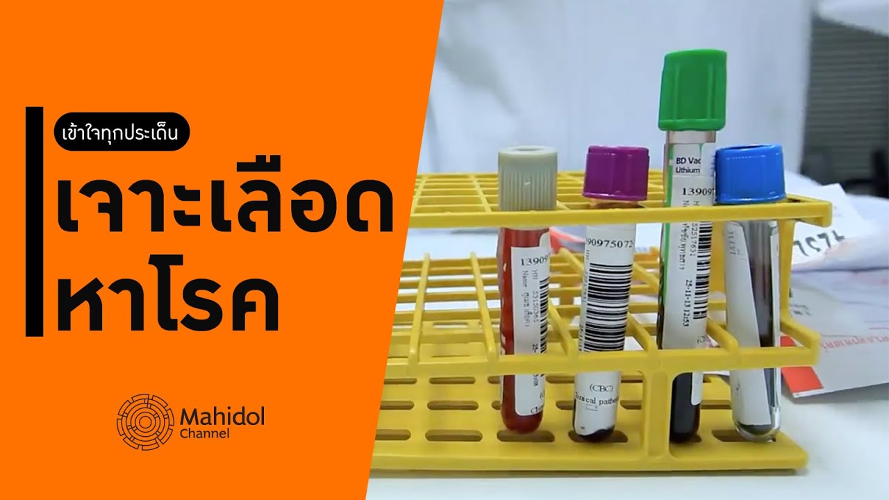 เบื้องหลังการตรวจเลือด แต่ละค่าที่ได้ บอกอะไรเราบ้าง? [หาหมอ by Mahidol Channel]
