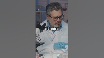 Detecting Pd2+ with Chemiluminescent Probes. #sciencefather #researchchemistry #scientist #professor