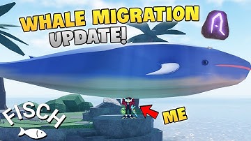 Thú Vị Săn CÁ VOI XANH Nhận Vật Phẩm Siêu Xịn Trong Cập Nhật Mới Fisch! - Roblox