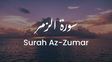 سورة الزمر للشيخ علي البراق | المصحف المرتل