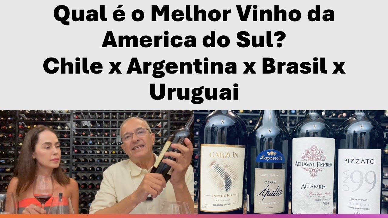 What is the best wine in South America?