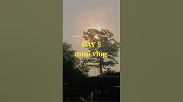 #minivlog #vlog #shortvideo #like #shere