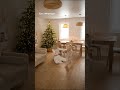 Срок службы десятки лет, сохраняя первоначальный вид. #christmastree #christmas