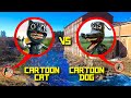 Серия 8 - CARTOON CAT проиграл CARTOON DOG **что нам делать?**