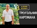 Треугольник Карпмана |  Как выйти из треугольника Карпмана