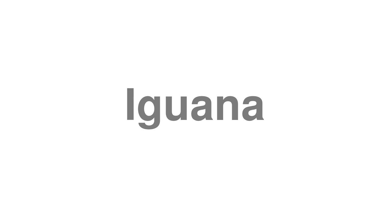 How to Pronounce "Iguana"