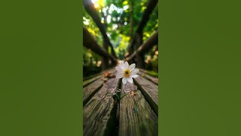 قرآن🌷#اكسبلور #دويتو # راحة نفسية#حالات_واتس #لايك #duet #تيك #nature #القارئ_اسلام_صبحي