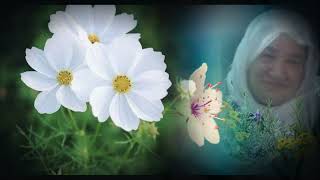 Ben Kıyamam Sen Uyandır Yarimi