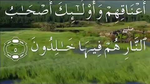 اول سورة الرعد الغامدي صفحة ٢٤٩ مكتوبة مكررة بصوت عذب