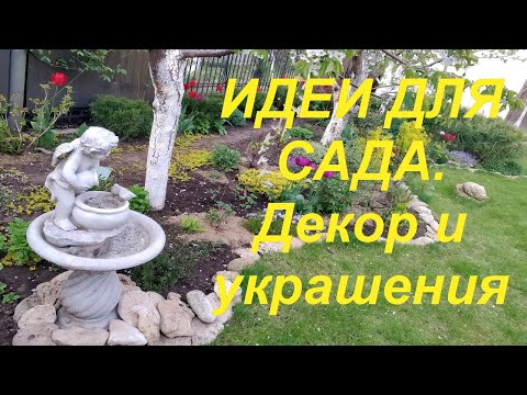 Видео: Железнова: методът за ранно музикално развитие 