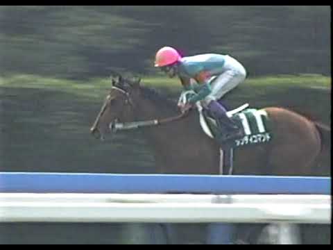 AVANTI Sサイズ 第32回スプリンターズS マイネルラヴ 第32回 スプリンターズステークス G1 （1998/12/20・中山