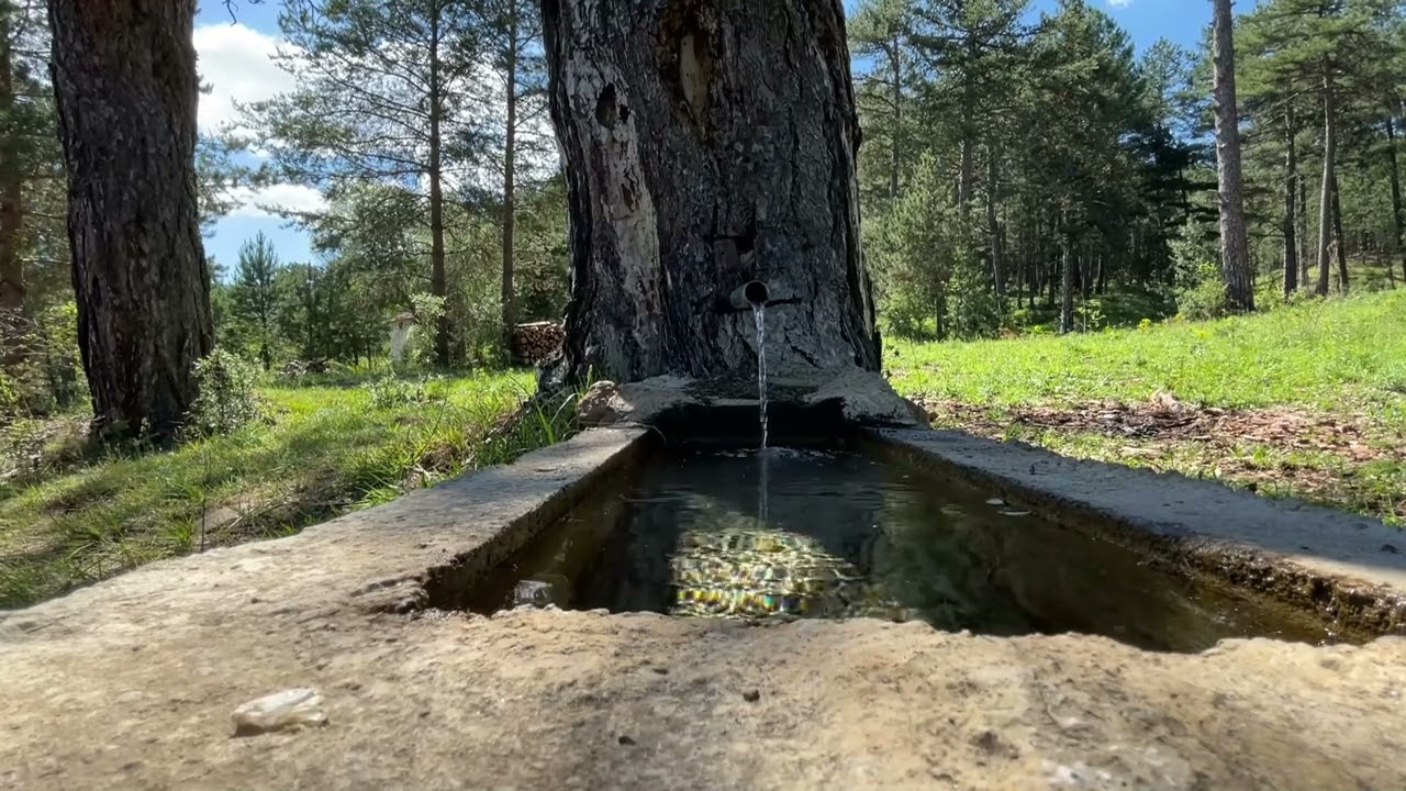 Dinlenmek için izlenebilir.Yeşil tonları mutluluk verir.