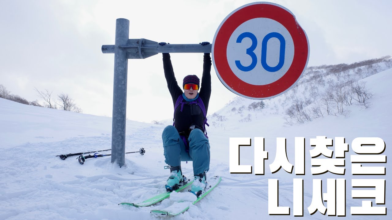 [또 니세코!] 파우더를 잊지못해 다시 찾아간 니세코