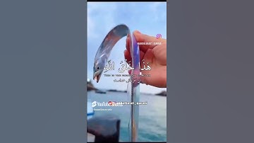 #اكسبلور #قران كريم #المصحف #حالات واتس