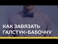 Как завязать галстук-бабочку [Якорь | Мужской канал]