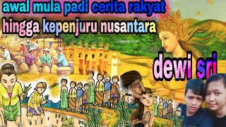 Asal Mula Padi dewi Sri Cerita Rakyat Hingga Kepenjuru Nusantara