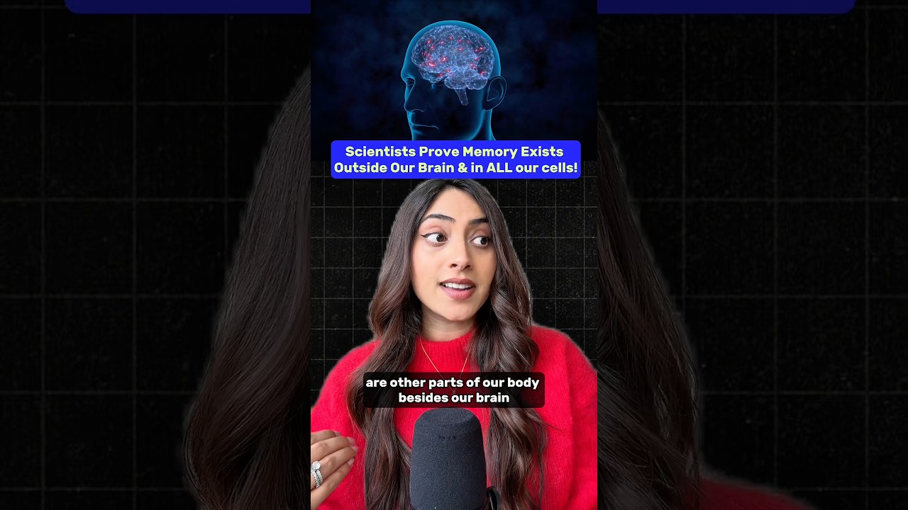 Scientists Discover Memories Exist in Every Cell of the Body