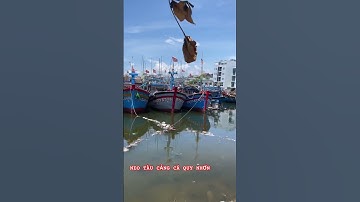 Năm 2025 di dời toàn bộ tàu cá về Cảng Đề Gi #quynhon