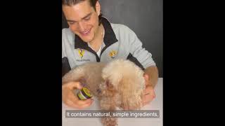 SOOTHE Salve for Dogs with Dr. Zac Pilossoph