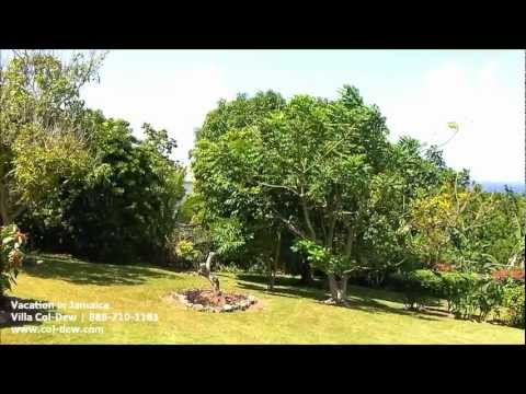 Vacation in Jamaica at Villa Col-Dew 2 (See Descri...