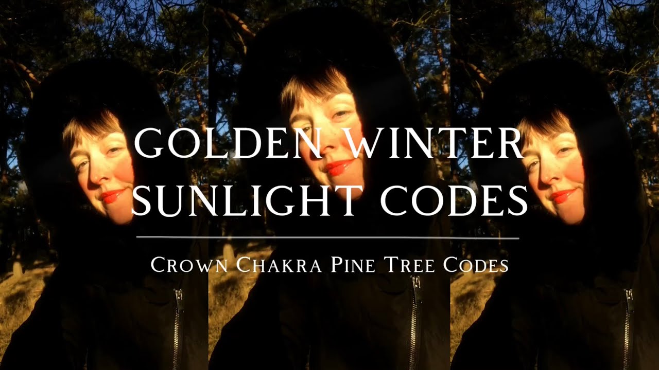 Crown Chakra Pine Tree Codes 🦌🌞 Golden Winter Sunlight Codes 🧚‍♂️ - YouTube