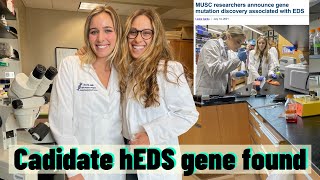 A Candidate Gene for Hypermobile EDS Has Been Found!