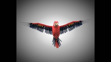 3D Model Macaw Parrot Bird PBR Rigged Low poly at 3DExport.com