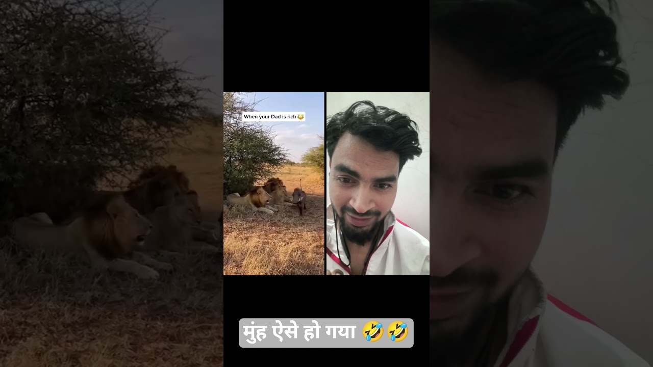 animal prank video 😂🤣🤣।