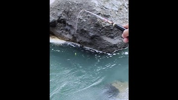 Mancing wader arus deras tarikannya mantap-mantap #mancingwader #joranlentur #mancing #waderan