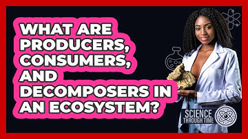 What Are Producers, Consumers, And Decomposers In An Ecosystem? - Science Through Time