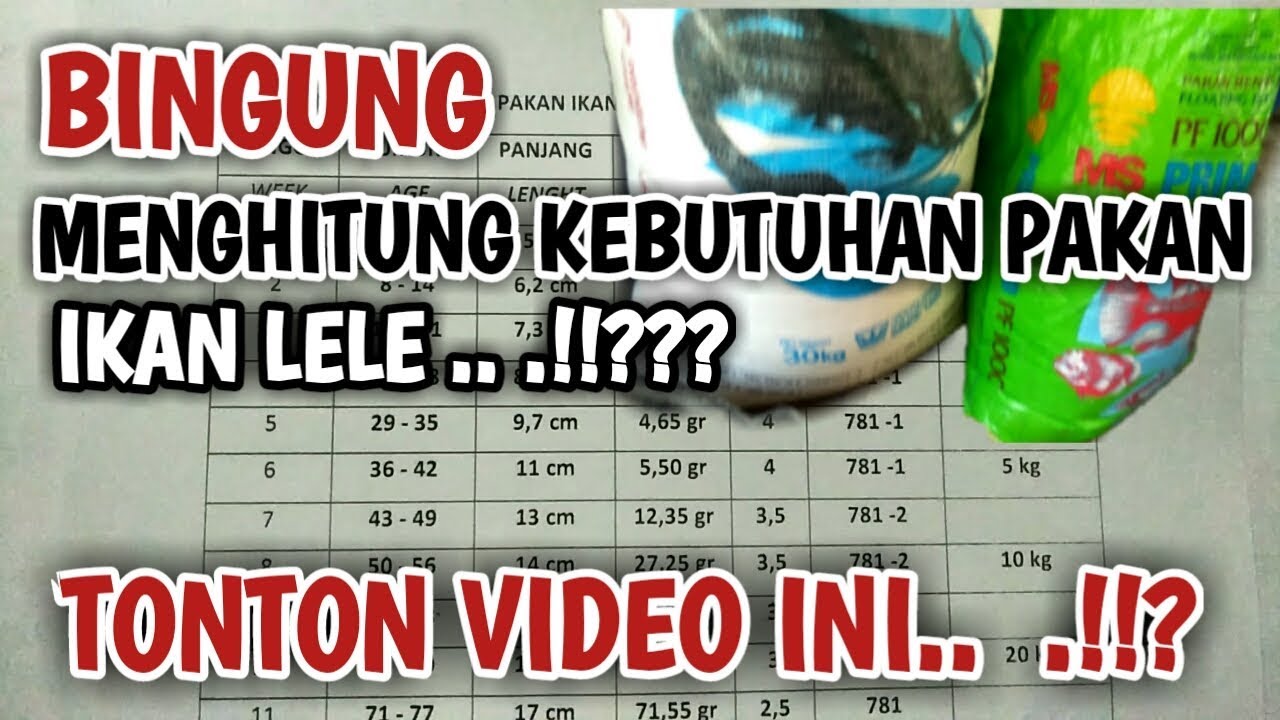 CARA MENGHITUNG KEBUTUHAN PAKAN IKAN LELE 