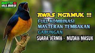 MASTERAN KOMBINASI TEMBAKAN GABUNGAN, MASTERAN TEMBAKAN KASAR - RAPAT - TAJAM, AWAS EMOSI‼️