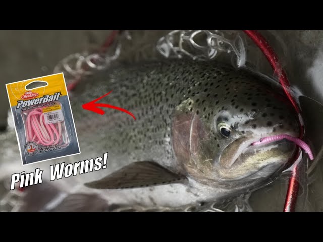 How To Fish Plastic PINK WORMS To Catch Trout! (EASY & EFFECTIVE