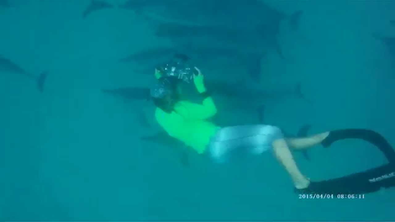 Swimming with dolphins 9