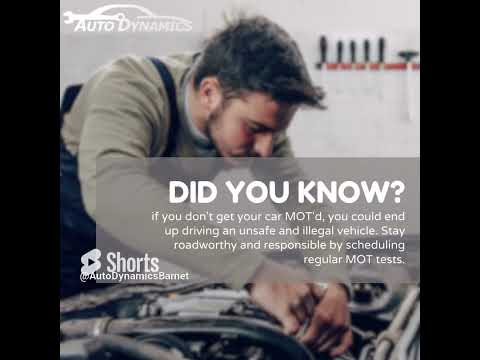 Versloot Auto Dynamics Reviews