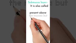 submucus layer || submucosa. #biology #digestivesystem