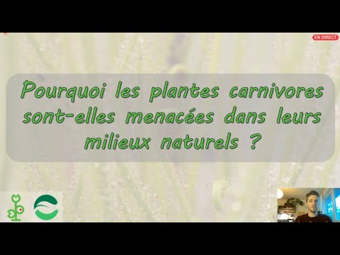 Vidéo: Qu'est-ce que le braconnage des plantes ? En savoir plus sur les plantes braconnées et leur impact
